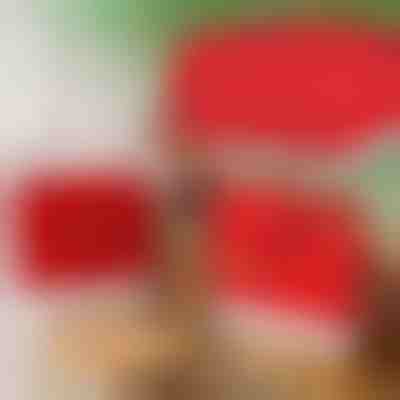 Huse pentru scaune de masă cu tematică de Crăciun (4 bucăți) | SANTASEAT