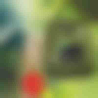 Duș portabil | SHOWDY