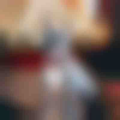 Zgardă pentru câine în stil festiv| DOGICOLLAR