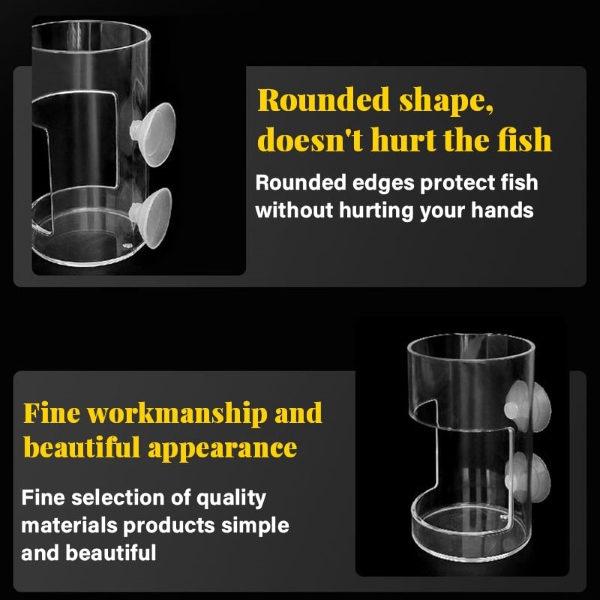 FINTROL-3831127617336-EN-5__170925